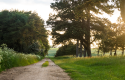 Affordable camper vans in Swindon, Wiltshire