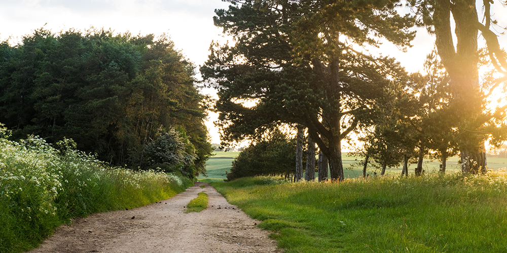 Affordable camper vans in Swindon, Wiltshire